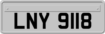 LNY9118