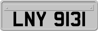 LNY9131