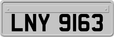 LNY9163
