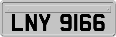 LNY9166