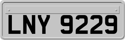 LNY9229