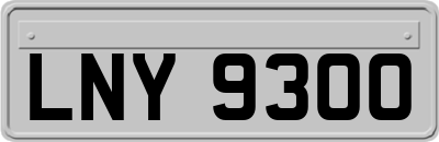 LNY9300