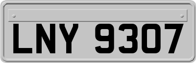 LNY9307