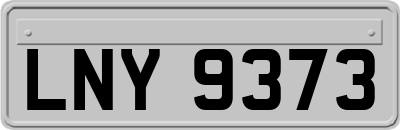 LNY9373