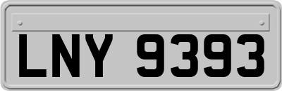 LNY9393