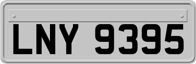 LNY9395