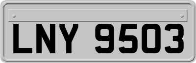 LNY9503