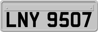 LNY9507