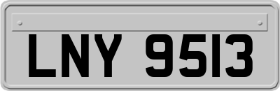 LNY9513
