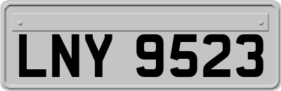LNY9523