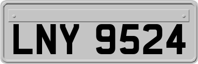 LNY9524
