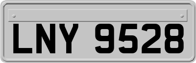 LNY9528
