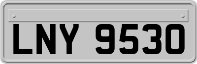 LNY9530