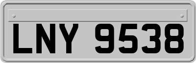 LNY9538