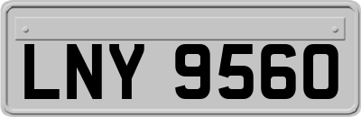 LNY9560