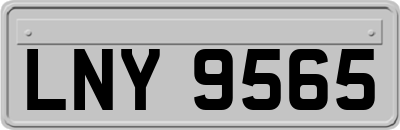 LNY9565