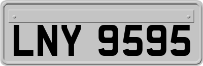 LNY9595