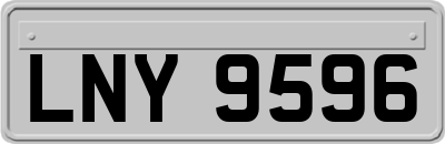 LNY9596