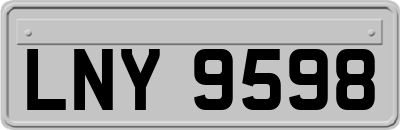 LNY9598