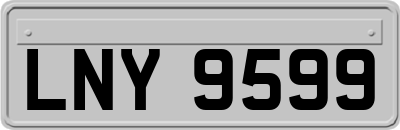 LNY9599