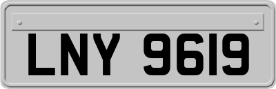 LNY9619