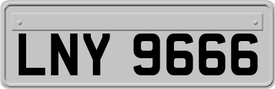 LNY9666