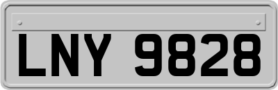 LNY9828