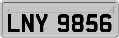 LNY9856