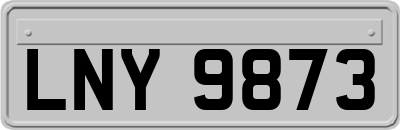 LNY9873