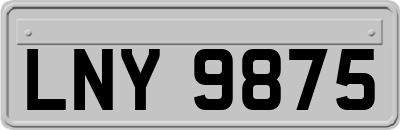 LNY9875