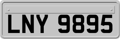 LNY9895