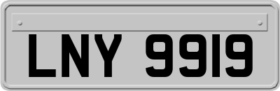 LNY9919
