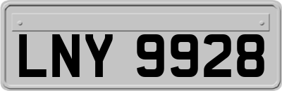 LNY9928
