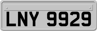 LNY9929