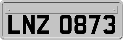 LNZ0873