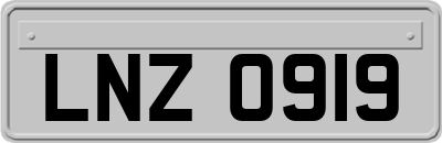 LNZ0919