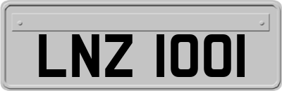 LNZ1001