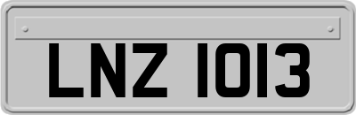 LNZ1013