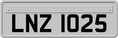 LNZ1025