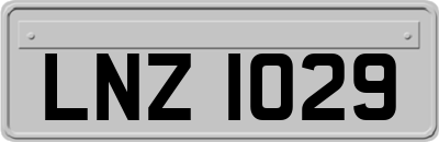 LNZ1029