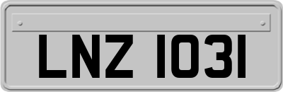 LNZ1031