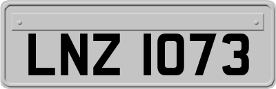 LNZ1073