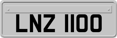 LNZ1100