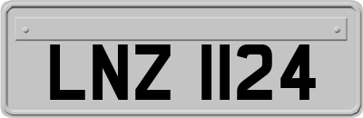 LNZ1124