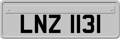 LNZ1131