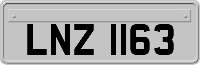 LNZ1163