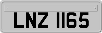 LNZ1165