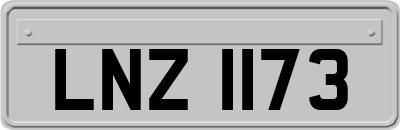 LNZ1173