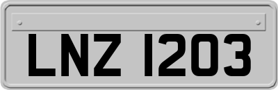 LNZ1203
