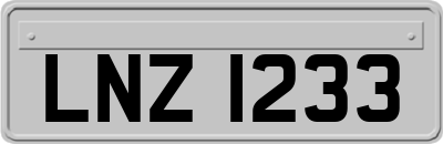 LNZ1233